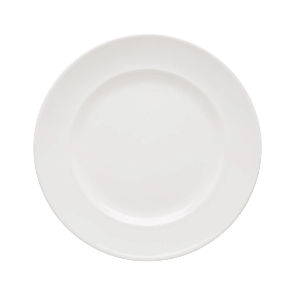 Dinner Plate 28