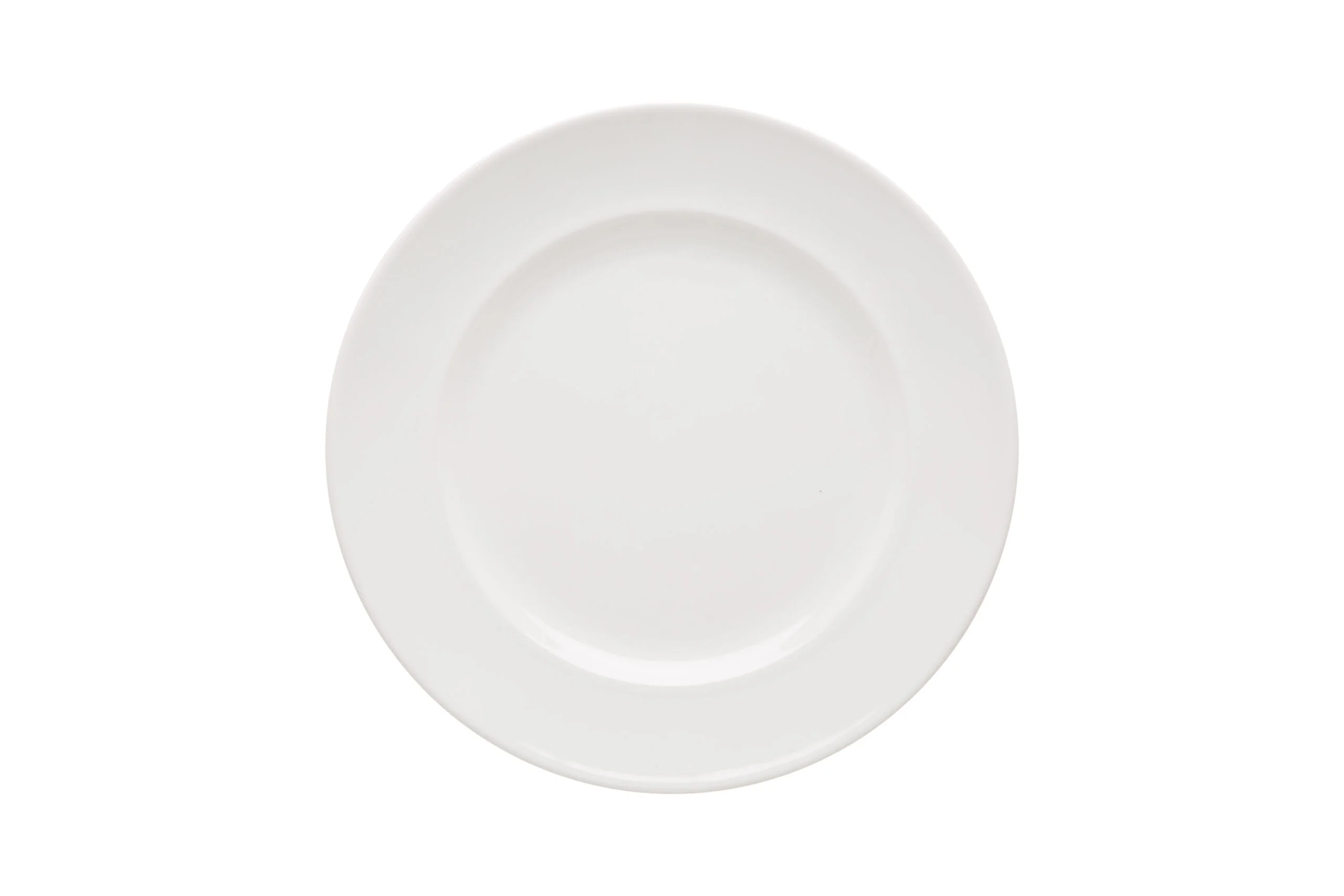 Dinner Plate 28