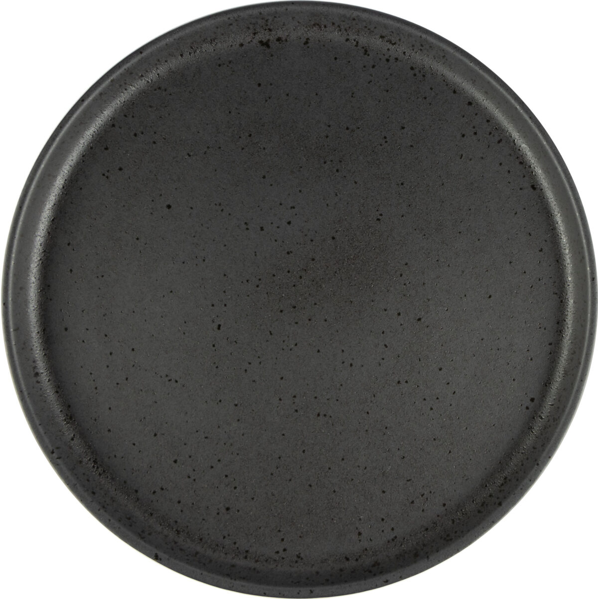 Uno dinner plate 28 Speckle Noire