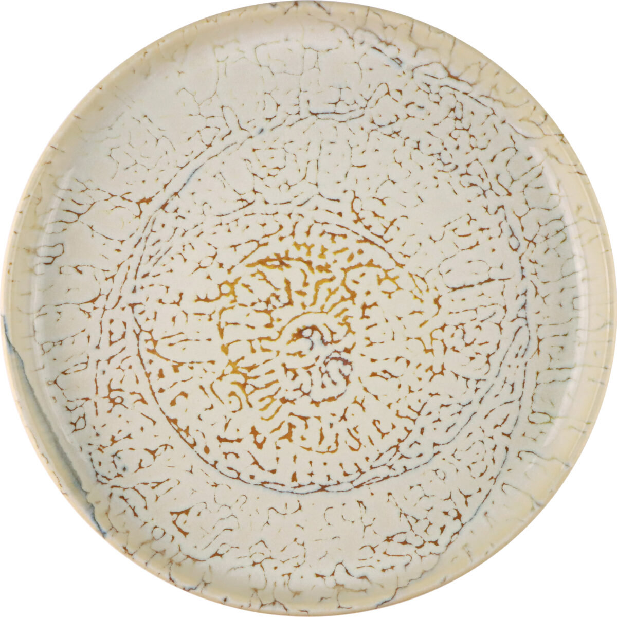 Urban Dinner Plate 28 Fossil