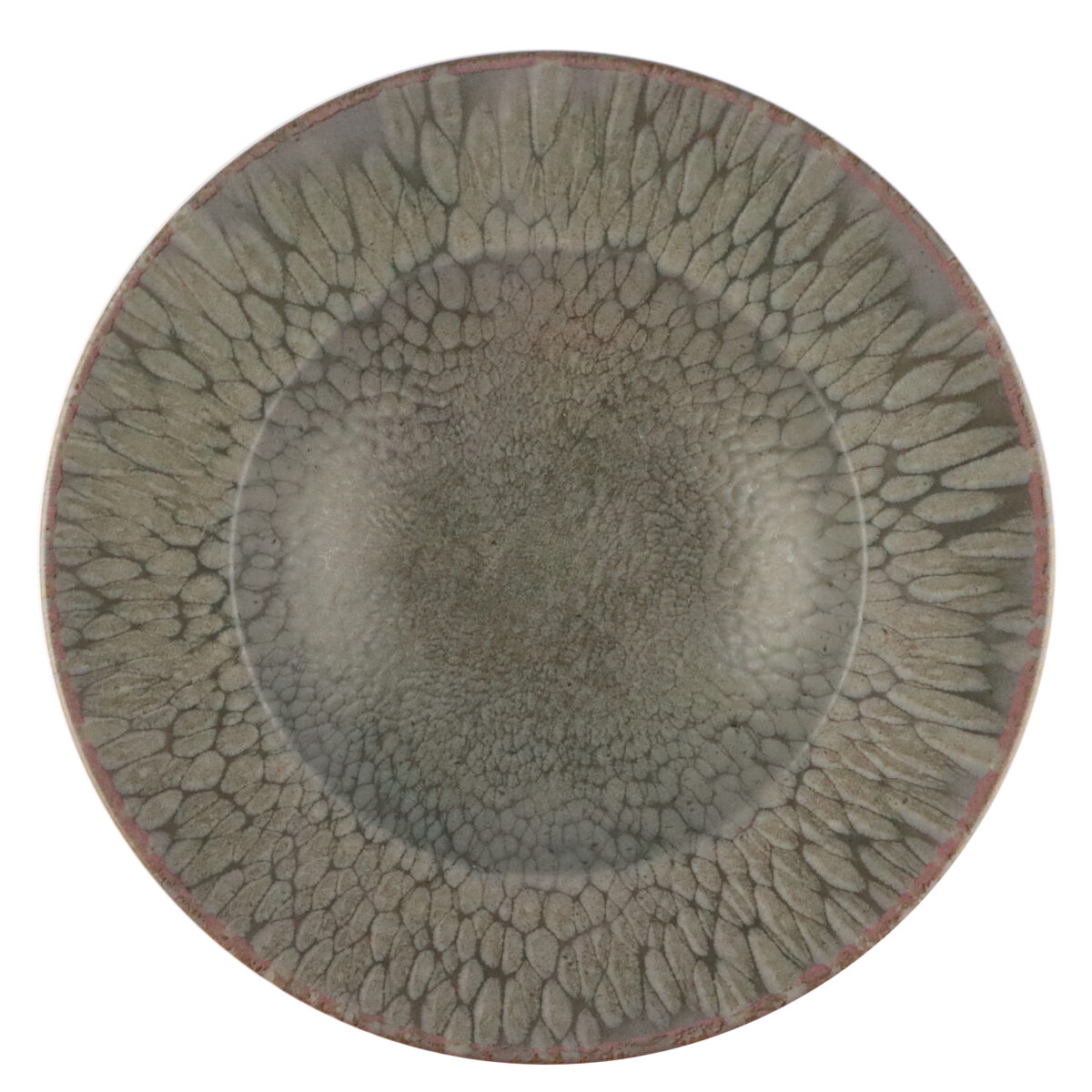 Coupe Pasta Plate Dust Grey