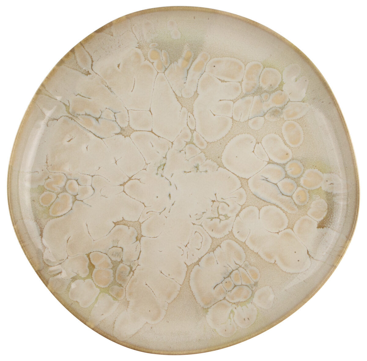 Natura Dinner Plate 28 - Swamp