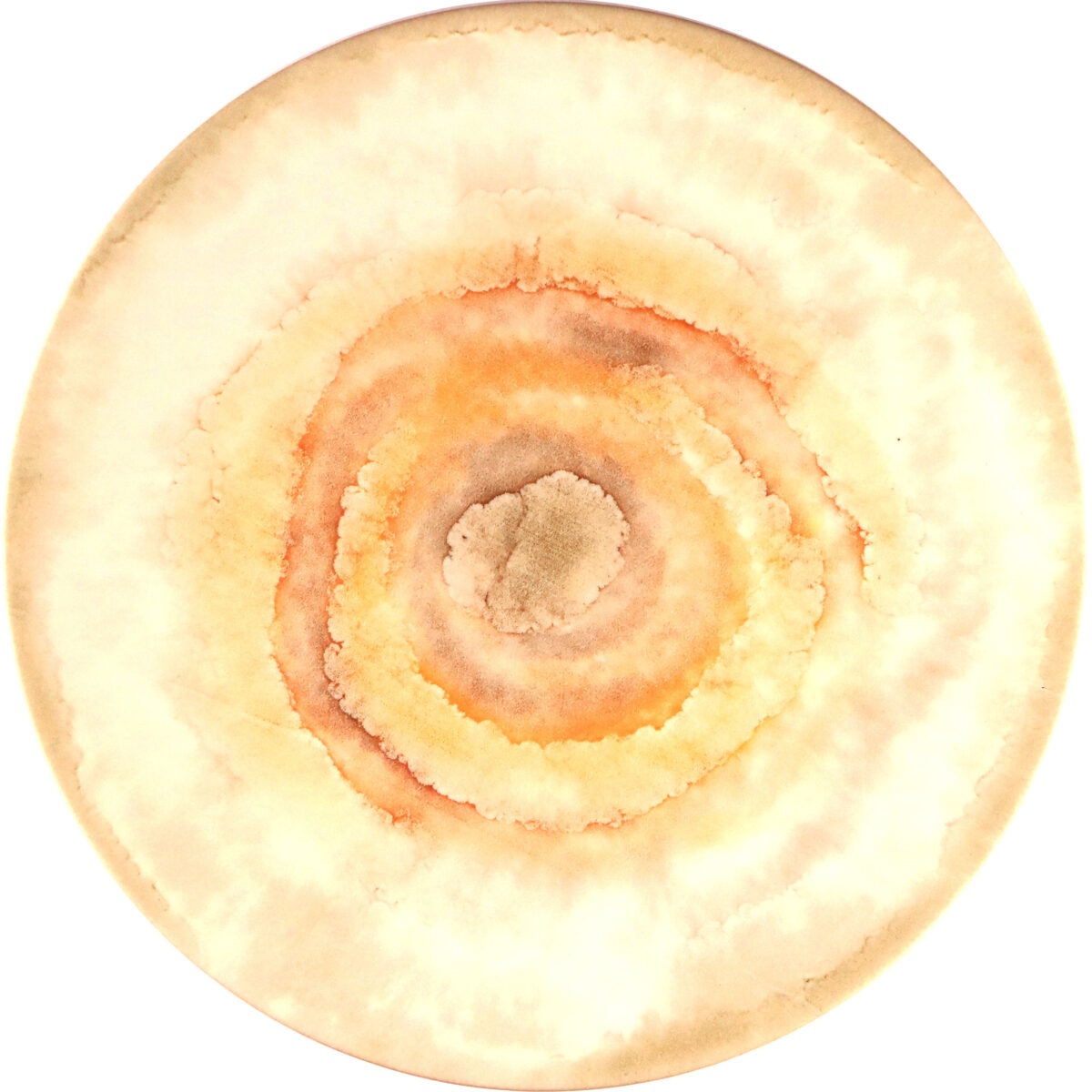 Coupe Dinner Plate 27 - Enigma Chalk