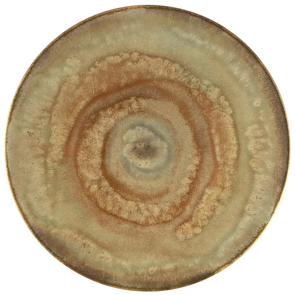 Coupe Dinner Plate 27 - Enigma Steel