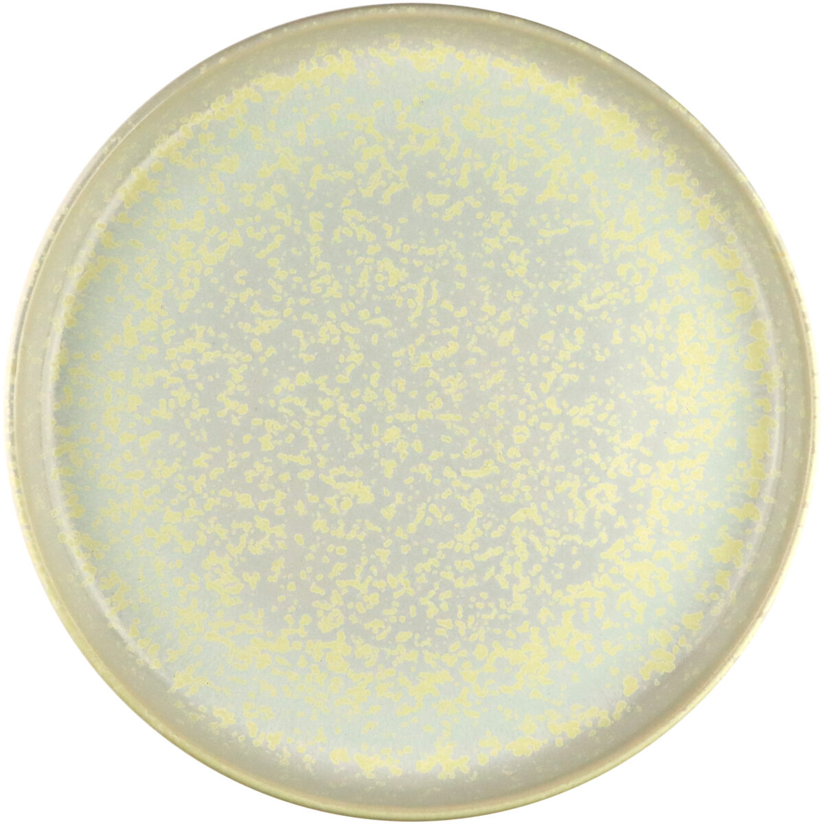 Uno Dinner Plate 28 - Nara Akua