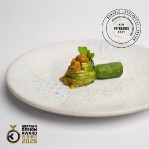 NEW VITREOUS STONEWARE KANJI GDA 2026